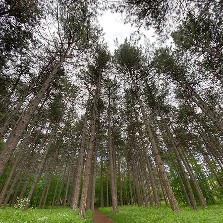 Jovanovic Apartamento *