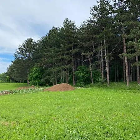 Apartamento Jovanovic